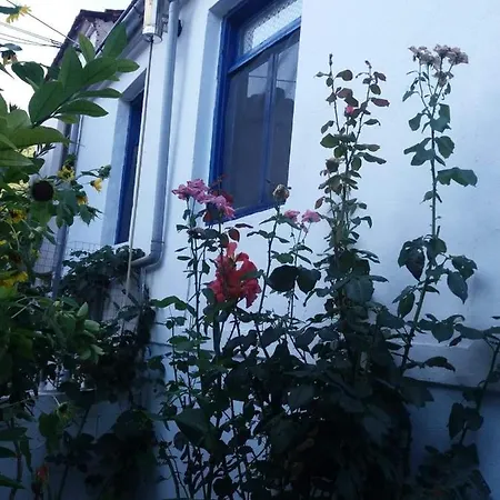 Chalet Aegean Blue Kallirakhi