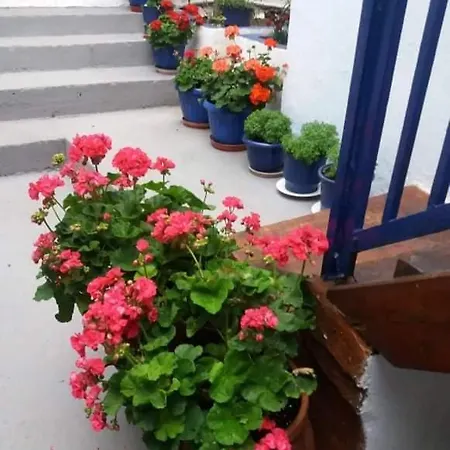 Chalet Aegean Blue *